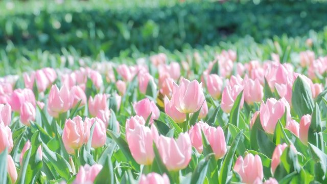2023/6/21　A・Y　様の画像