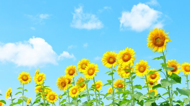 2023/7/3　Y・O　様の画像