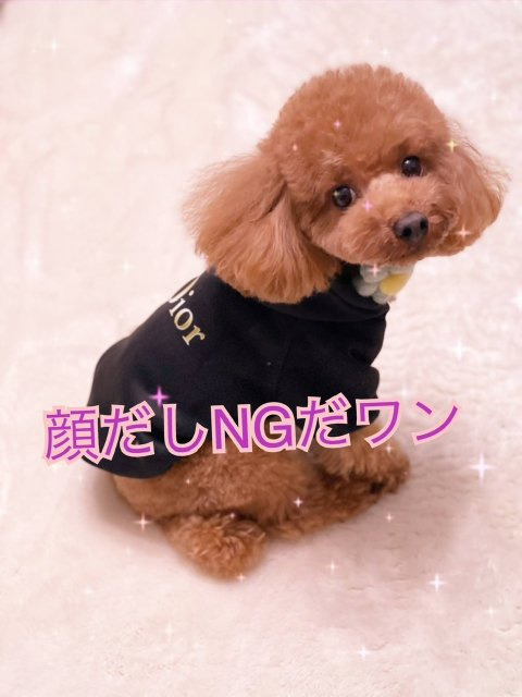 shimizu様の画像