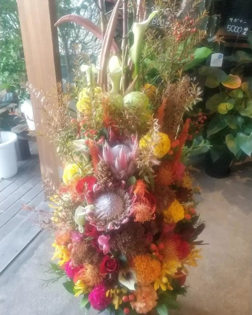 GronG GYM24 御坊店様の画像