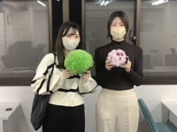 2023年11月03日の画像