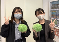 2023年11月14日の画像