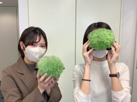2023年12月01日の画像