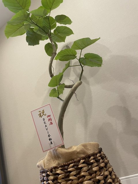 プライベートサロンsouの画像