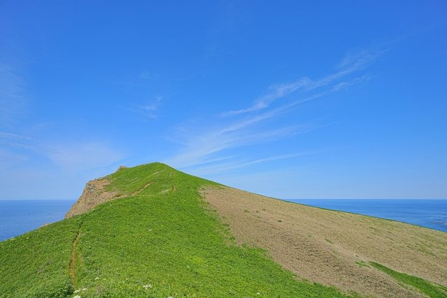 2024/2/1　S・K　様の画像