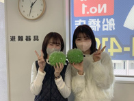 2024年02月19日の画像