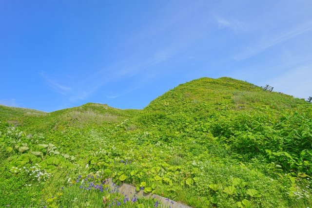 2024/2/15　R・K　様の画像
