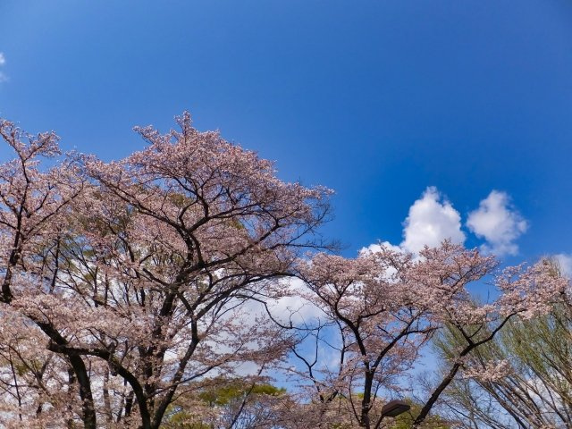 2024/2/28　M・M　様の画像