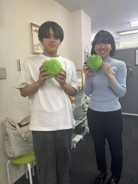 N・Lの画像