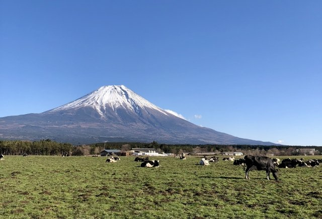 2024/5/3　A・O　様の画像