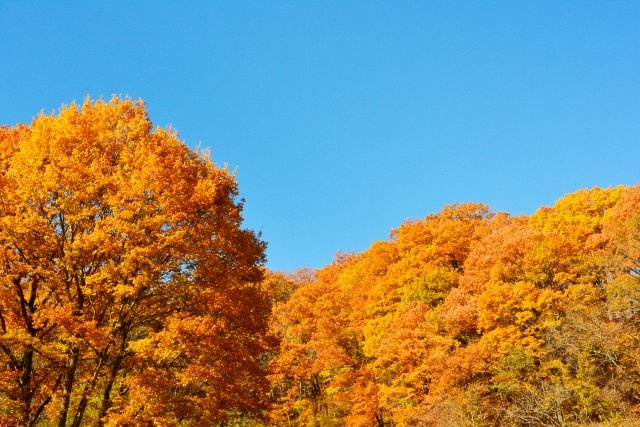 2024/9/1　F・S　様の画像