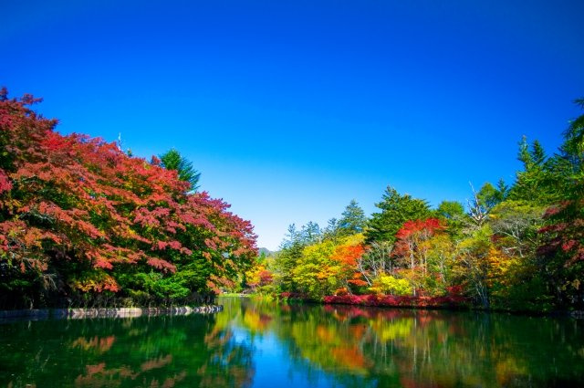 2024/9/30　Y・M　様の画像