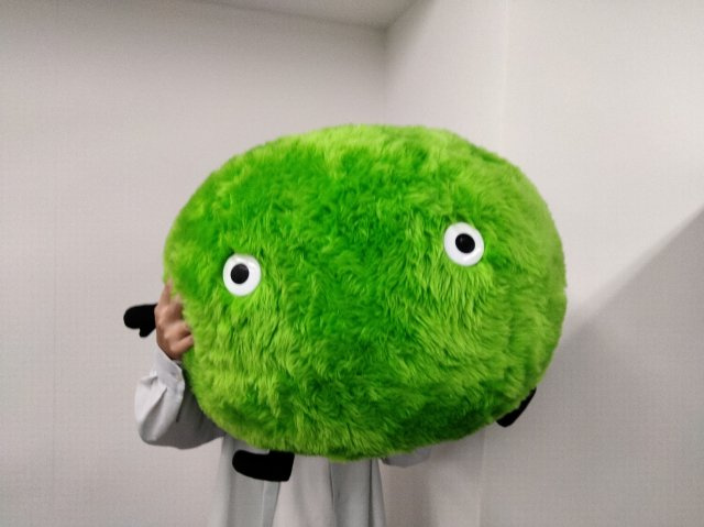 K・K様の画像