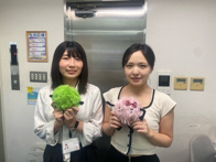 2024年10月21日の画像