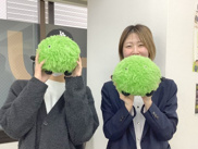 2024年11月19日の画像