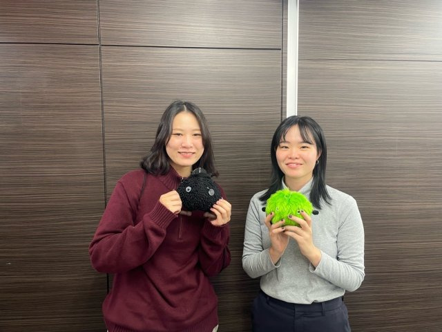 2024年11月29日の画像