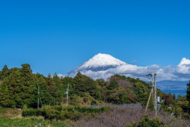 2024/11/17　K・M　様の画像