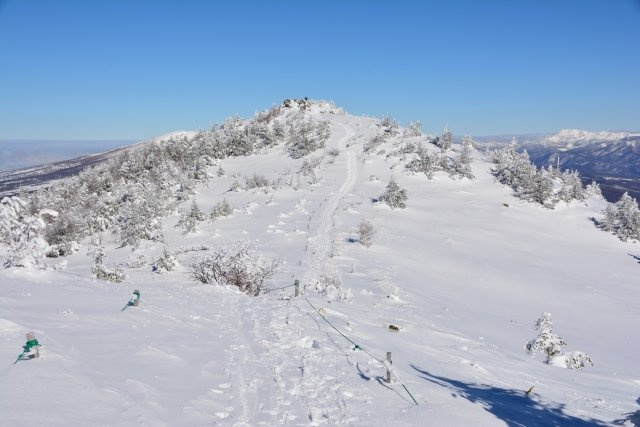 2024/12/6　S・H　様の画像