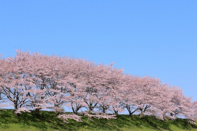 2024/12/17　Y・M　様の画像