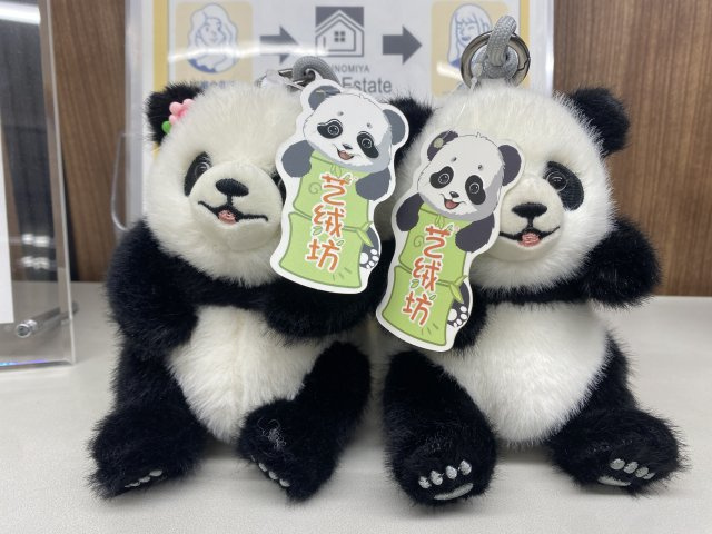 中国　T様の画像