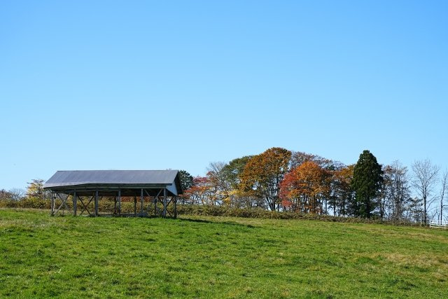 2025/1/13　H・K　様の画像