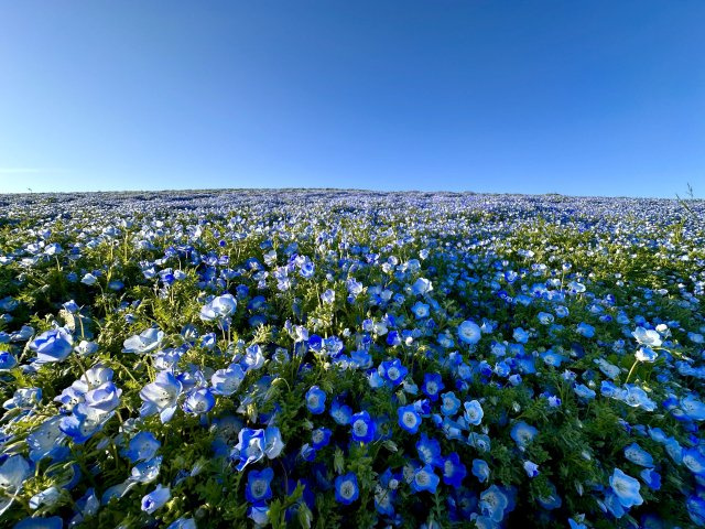 2025/3/25 R・A 様の画像