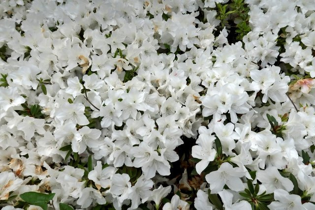 2025/4/1　R・Tの画像