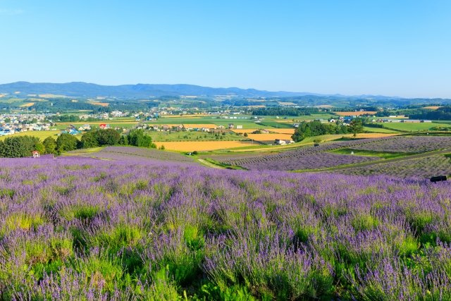 2025/7/28　H・Y　様の画像