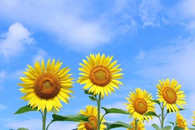 2025/7/28　K・M　様の画像