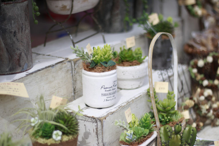 ネッシー様の画像