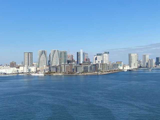 【成約御礼】HARUMI FLAGの画像