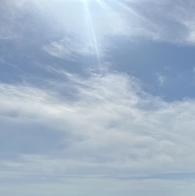 N様の画像