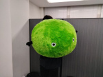 T・Y様の画像