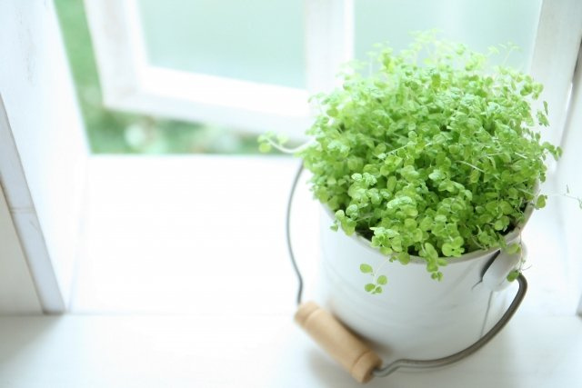 名古屋市中村区 &KIMEI様 / 新築戸建ての画像