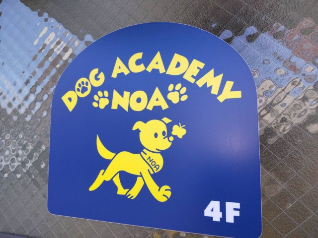 DOG　ACADEMY　NOA　様の画像