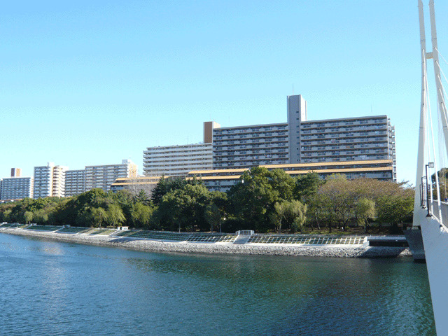 シティコープ八潮浜、ご成約しました！の画像