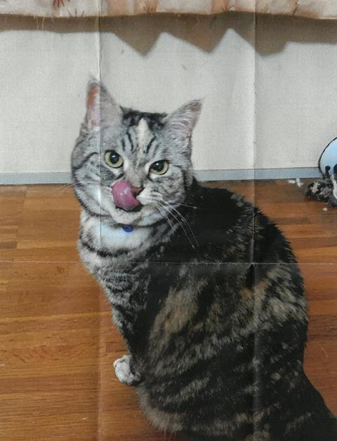 2023年1月2日　N様の画像