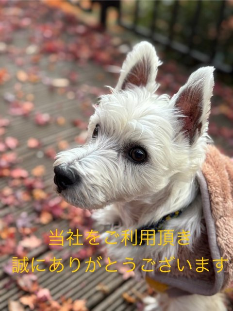 H様＆H様の画像