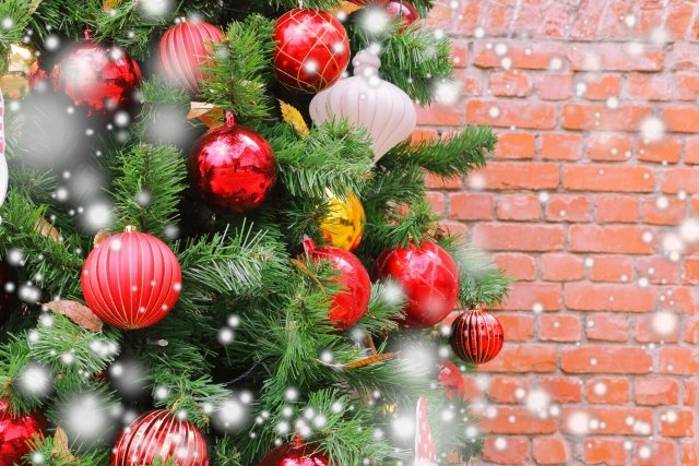 2025/12/18　T・U　様の画像