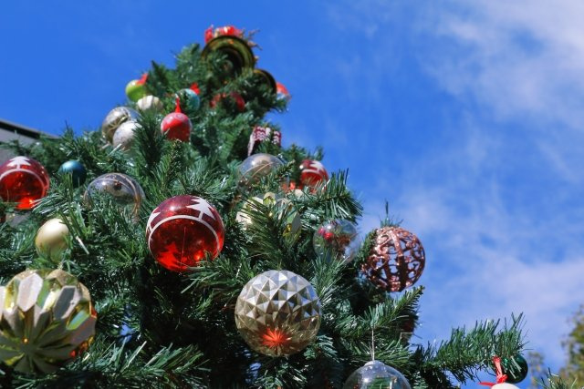 2025/12/21　Y・Tの画像