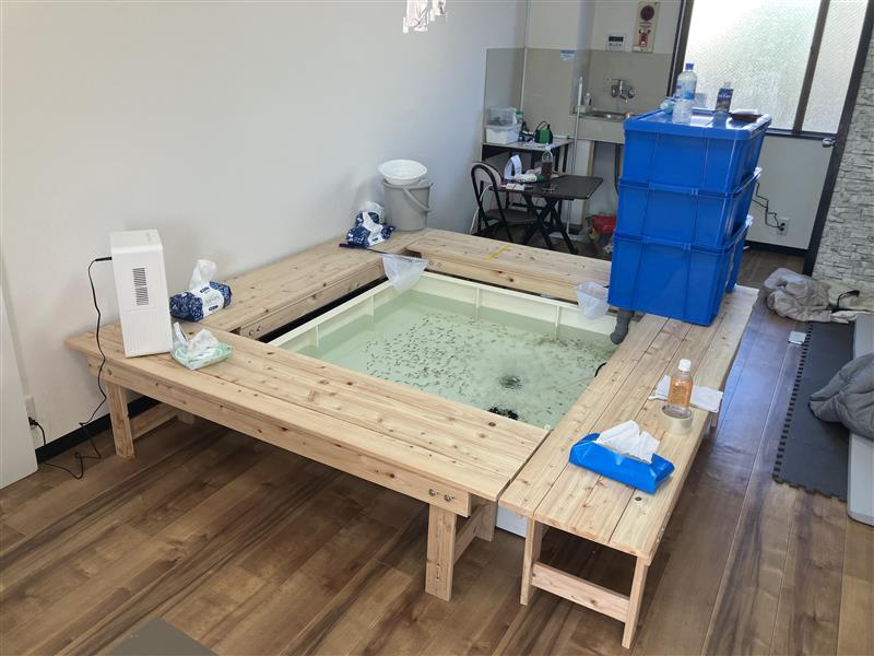 フィッシュ＆リラックスの画像