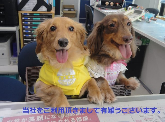 M様の画像