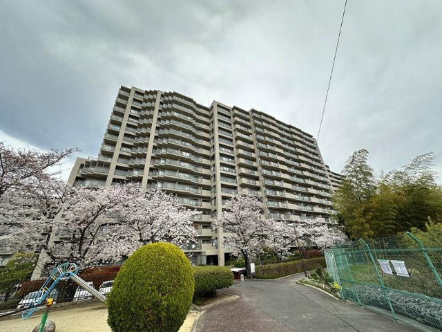 寺川様の画像