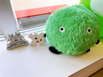 K.Mの画像