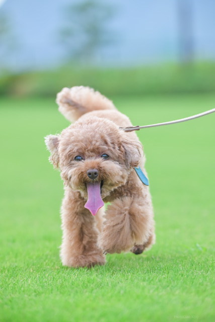 山梨県　O様の画像