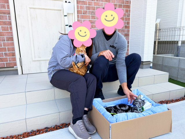 １５４：尾張旭市Ｈ様