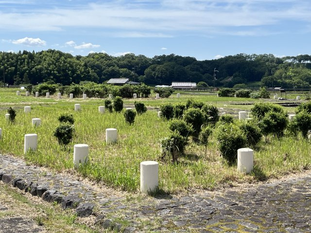 2026/3/3 M・M 様の画像