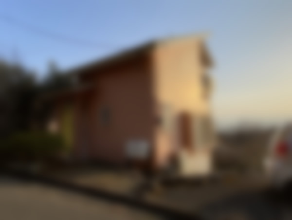 N様の画像