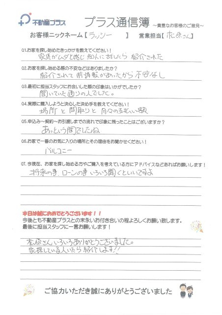 ラッシー様の画像