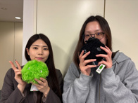 2026年03月28日の画像